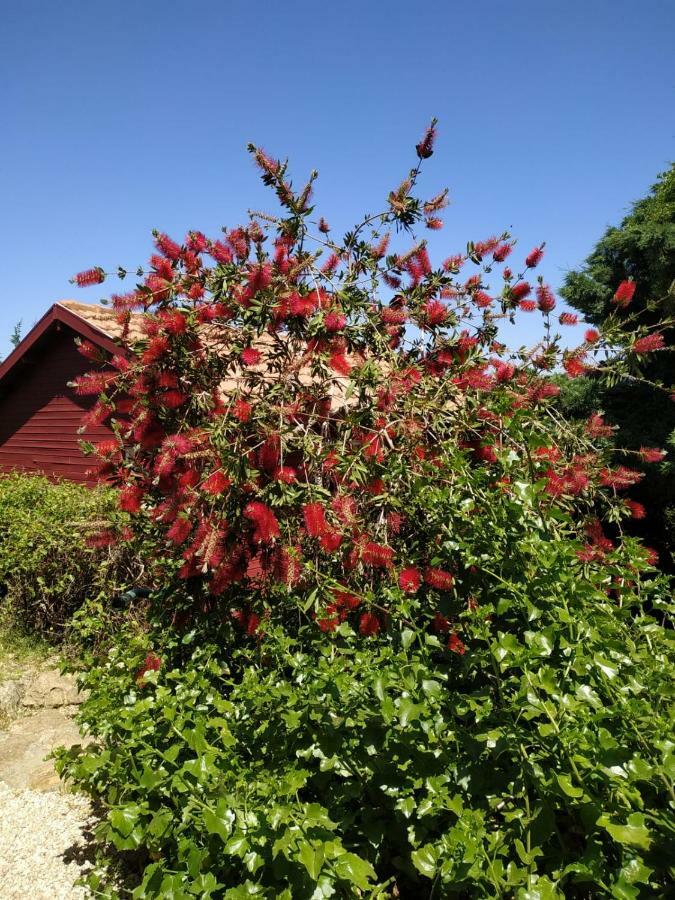 Вилла Cabin In The View Hararit Экстерьер фото